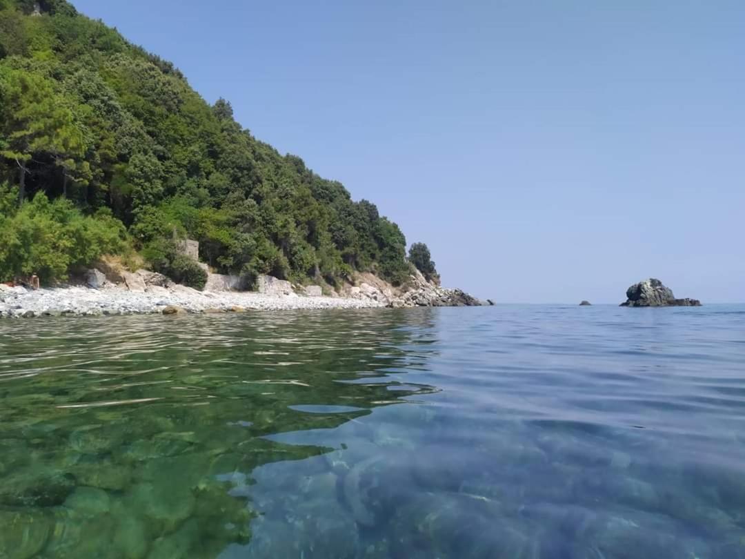 Βίλα Κατερίνα - Villa Katerina Kókkinon Nerón エクステリア 写真