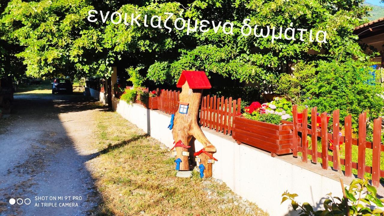 Βίλα Κατερίνα - Villa Katerina Kókkinon Nerón エクステリア 写真