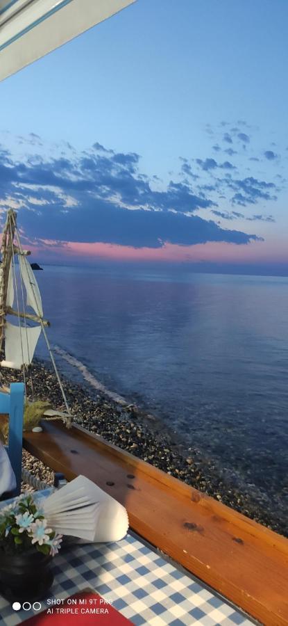Βίλα Κατερίνα - Villa Katerina Kókkinon Nerón エクステリア 写真