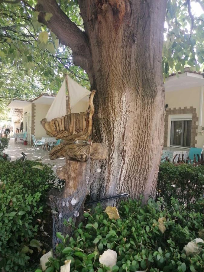 Βίλα Κατερίνα - Villa Katerina Kókkinon Nerón エクステリア 写真